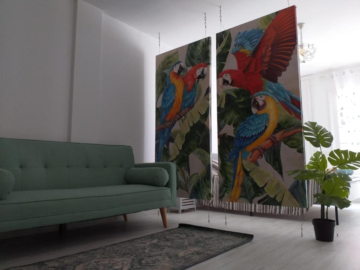 Tropical Loft Apartment Corralejo Luaran gambar