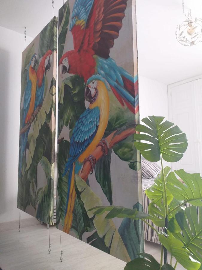 Tropical Loft Apartment Corralejo Luaran gambar